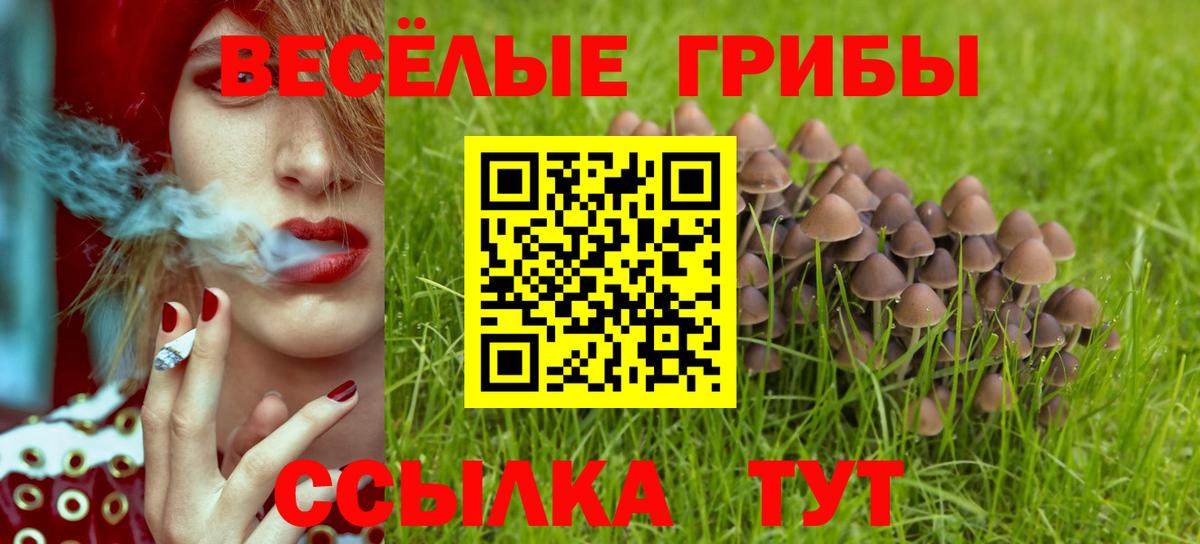 Псилоцибиновые грибы Magic Shrooms  Вход с VPN  Холмск 